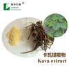 Chinese Kava Kava Extract