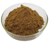 Chlorogenic Acid Powder Honeysuckle Extract Powder