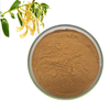 Chlorogenic Acid Powder Honeysuckle Extract Powder