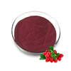 Natural Cranberry Extract 