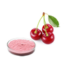 Acerola (Malpighia Glabra) Standardized sa 25% Vitamin C