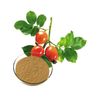 Rose Hip Extract Rose Hip Powder