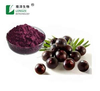 Acai Berry Extract Powder Plant Extract Mula sa Herb Euterpe oleracea M