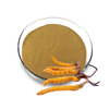 Cordyceps Sinensis Extract Powder