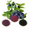 Bilberry (Vaccinium Myrtillus) Extract Powder