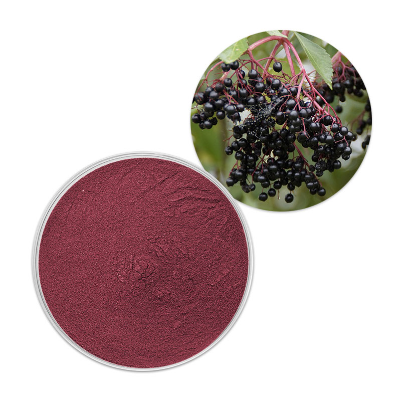 Black Elderberry Extract Powder Anthocyanidiins