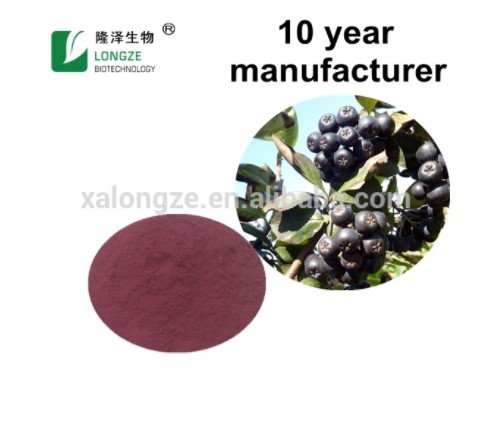 Chinese Chokeberry extract Powder
