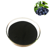 Bilberry (Vaccinium Myrtillus) Extract Powder