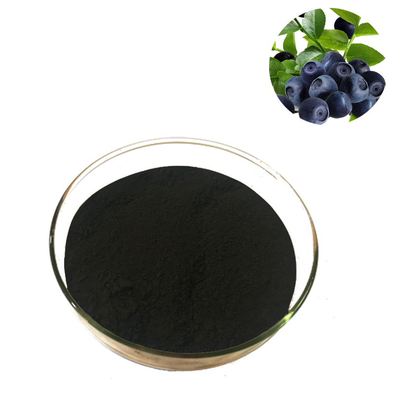 Bilberry Extract 25% Anthocyanosides Food Supplement